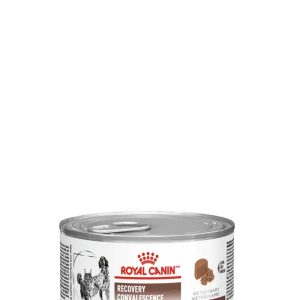 Alimento Húmedo P/Mascotas Royal Canin Recovery 145g